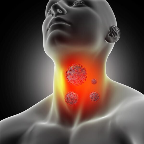 thyroid